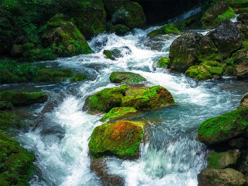水質檢測總氮標準（污水中總氮和氨氮的關系）
