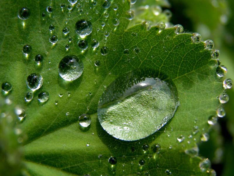 什么是水質(zhì)氨氮（污水氨氮高了怎么處理）