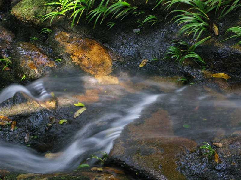 水質總氮檢測方法有哪些（水質總氮檢測儀器廠家）