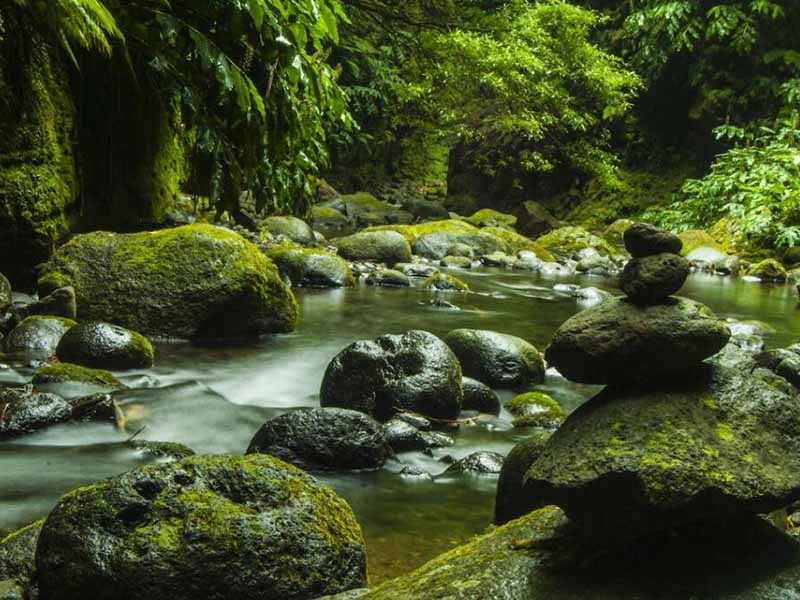 總磷檢測空白值一般是多少（地表水、污水總磷檢測標準）